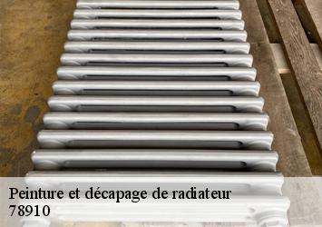 Peinture et décapage de radiateur  78910