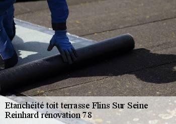 Etanchéité toit terrasse  flins-sur-seine-78410 Reinhard rénovation 78