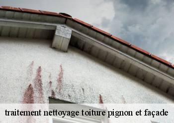 traitement nettoyage toiture pignon et façade