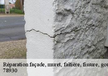 Réparation façade, muret, faîtière, fissure, gouttière 78930